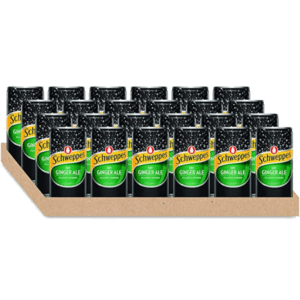 SCHWEPPES DRY GINGER ALE Can 200ml - 24 Pack