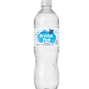 SPRING WATER PET Bottle 600ml – Single